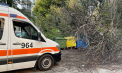 O femeie a fost rănită în sectorul Botanica, după ce un copac a fost doborât de vântul puternic în timpul furtunii - FOTO