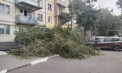 Furtuna de aseară a făcut ravagii în nordul țării și în capitală: copaci doborâți, mașini avariate și drumuri blocate de arbori - VIDEO