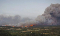 Incendii devastatoare în SUA și Franța: Mii de hectare arse, sute de case distruse și victime omenești - VIDEO