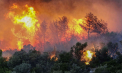 Grecia și Turcia se confruntă cu un nou episod grav de incendii de vegetație. Focul se extinde la sud-est de Atena, unde flăcările au făcut scrum mai multe construcții și au luat viața unei persoane - VIDEO