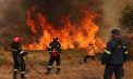 În Grecia, pompierii duc o luptă contracronometru cu flăcările, în timp ce incendiile de vegetație amenință tot mai multe destinații de vacanță îndrăgite de moldoveni. Ce se întâmplă în Italia - VIDEO 