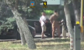 Patru bărbați din capitală - reținuți, după ce timp de trei luni, au amenințat psihologic, dar și cu moartea o persoană. Ce vroiau să obțină - VIDEO 