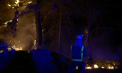 Al treilea deces provocat de incendiile din Spania. Căldura extremă sufocă Europa