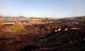 Incendiu devastator la Grigoriopol: 37 de hectare de teren au ars, amenințând o fermă și mai multe gospodării - FOTO/VIDEO