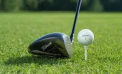 Un jucător renumit de golf a câștigat aproximativ un milion de dolari, fiind ajutat... de o muscă - VIDEO