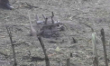 Un sat din Polonia a fost lovit de o „dronă militară”, iar exploziile au avariat câteva case. Se investighează originea incidentului - VIDEO