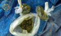 Afacere cu droguri - eșuată. Patru persoane, condamnate la închisoare. Doi dintre ei, prinși în flagrant în timp ce primeau un colet cu marijuană și cocaină 