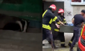 Un bursuc și-a găsit „casa” în scara unui bloc din Bălți. Acesta a fost salvat de pompieri - VIDEO