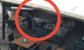 Poliția publică imagini cu momentul în care unul dintre avocații lui Șor ar fi hărțuit o chelneriță la Leova - VIDEO