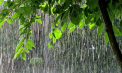 Weekend ploios cu temperaturi de până la 25 de grade Celsius. Cum va fi vremea în toate raioanele țării
