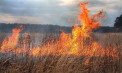 Cod GALBEN: Pericol de incendii. Anunțul făcut de meteorologi - FOTO