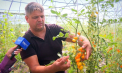 Un agricultor din Criuleni a transformat Ratușul în „tărâmul roșiilor”, cu sere moderne și producție de suc proaspăt: „Facem suc din roșii, proaspăt stors, sută la sută” - VIDEO