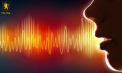 Poliția publică un mesaj audio în care un bărbat explică cum ar urma să organizeze un „mini-protest” la concertul din PMAN de Ziua Independenței: „Ne vom împărți câte 10, să nu batem la ochi” - VIDEO