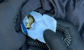 Un moldovean de 31 de ani, prins cu marijuana ascunsă într-un pachet de țigări, la intrarea în țară prin vama Palanca - FOTO