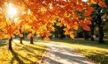 Soare și maxime de 32 de grade Celsius. Cum va fi vremea astăzi, dar și în următoarele zile. Prognoza meteo

