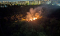 A luat foc vegetația uscată dintr-o pădure din capitală. Două echipaje de pompieri au intervenit - FOTO