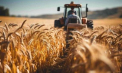 Chișinăul, nemulțumit după ce Tiraspolul a impus noi reguli agricultorilor din Dubăsari. Precizările Biroului politici de reintegrare
