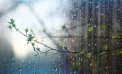 Va ploua în sudul țării. Cum va fi vremea astăzi, dar și în următoarele zile. Prognoza meteo
