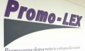 Folosirea resurselor publice, implicarea preoților și coruperea alegătorilor: primele concluzii Promo-LEX despre campanie - VIDEO