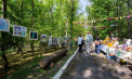 O zi între copaci, lecții de ecologie și momente de respiro: Festivalul Pădurilor de la Condrița a oferit vizitatorilor o zi de evadare, învățare și reconectare cu natura - VIDEO