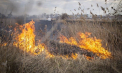 Cod GALBEN: Pericol de incendii. Anunțul făcut de meteorologi - VIDEO
