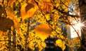 Soare și maxime de 25 de grade Celsius. Cum va fi vremea astăzi, dar și în următoarele zile. Prognoza meteo
