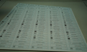 A început tipărire buletinelor de vot pentru secțiile de votare din țară la alegerile parlamentare. Câte vor fi la număr - VIDEO