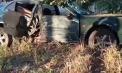 Au furat o mașină, au urcat băuți la volan și au ajuns într-un copac, la Tiraspol. Ce povestește un martor - VIDEO