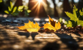 Început de weekend cu temperaturi minime de până la 3 de grade Celsius. Cum va fi vremea în toată țara. Prognoza meteo