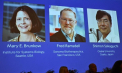 Premiul Nobel pentru Medicină a fost câștigat de trei cercetători, pentru studiile privind „toleranța imunitară periferică” - VIDEO