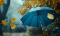 Ploi în toată țara. Cum va fi vremea astăzi, dar și în următoarele zile. Prognoza meteo
