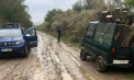 Un bărbat - documentat, după ce a fost prins că transporta lemn fără documentele care să confirme proveniența legală a acestuia - FOTO