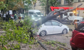„Surpriza” matinală pentru un șofer din capitală. Un copac a căzut peste automobil și l-a distrus - FOTO/VIDEO