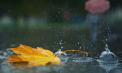 Cer noros și ploi slabe în toată țara. Cum va fi vremea în următoarele zile. Prognoza meteo