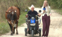 Adio căruțe, bun găsit...triciclete. Prin satele Moldovei, vârstnicii conduc triciclete electrice, cu care merg la magazin, la punctul medical, biserică sau chiar duc vaca la păscut - VIDEO