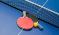Visul frumos al naționalei Moldovei de tenis de masă la Campionatul European pe echipe s-a încheiat în optimi. Băieții noștri au fost învinși de Slovenia - VIDEO