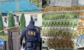 Și-au angajat fictiv rudele și vindeau lemne fără facturi, iar banii le puneau la ei în buzunar. Șapte angajați de la un ocol silvic din Hîncești, cercetați de CNA. Interceptări audio: „Nu fac factură, mâine e sărbătoare” - VIDEO 