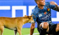  „Câinele lui Neymar.” Faza virală a unui câine, care a intrat pe teren în timpul unei partide și a simulat o accidentare - VIDEO