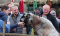 Tradiții, muzică și bucate autentice la Cimișlia: Festivalul Internațional „Miorița laie, laie-bucălaie” a adunat meșteri populari, crescători de animale și artiști din mai multe țări - VIDEO