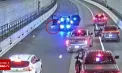 Câine pierdut, salvat ca-n filme: patrupedul a intrat singur în autospeciala poliției după o urmărire pe șosea