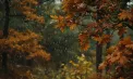 Ploi în toată țara. Cum va fi vremea astăzi, dar și în următoarele zile. Prognoza meteo