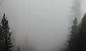 Cod galben de ceață, emis de meteorologi. Până când va fi valabil