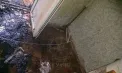 O locuință din stânga Nistrului, cât pe ce să ardă în totalitate. Vecinii au chemat pompierii, după ce au observat fum