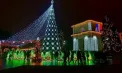 Încep pregătirile pentru sărbătorile de iarnă. Când va avea loc inaugurarea pomului de Crăciun în capitală - VIDEO