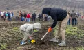 De la sud la nord, țara s-a umplut de hârlețe și puieți. În mai multe raioane, sute de voluntari, elevi, funcționari publici și localnici s-au mobilizat pentru a planta arbori: „Pădurea este viață" - VIDEO