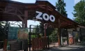 Grădina Zoologică din capitală trece la programul de lucru pentru sezonul rece