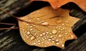 Cer noros și precipitații slabe în toată țara. Câte grade se vor înregistra astăzi, dar și în următoarele zile. Prognoza meteo