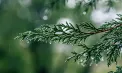 Cer noros și ploi în centrul țării. Cum va fi vremea în prima zi de iarnă, dar și în următoarele zile. Prognoza meteo