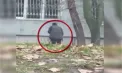 Un tânăr de 30 de ani din Orhei, reținut în flagrant în timp ce plasa droguri în curtea unui bloc din Chișinău – VIDEO