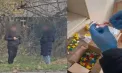 „Afacere” cu droguri pe Telegram. Patru tineri ar putea sta până la 15 ani în închisoare pentru comercializarea substanțelor narcotice - VIDEO 